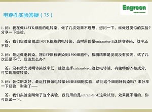 电转染实验（entranster-E）答疑（75）