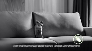 ¿Siestas en el sofá? Con Frontline Combo proteges a tu mascota y evitas las reinfestaciones en el espacio que compartís. | Cuidamos su huella