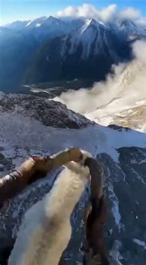 Man Riding a Mountain Goat Through the Mountains 🐐⛰️ | Unreal Adventure