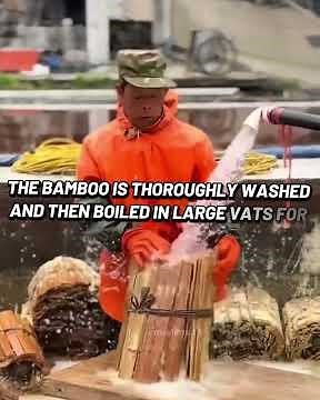 Ancient Chinese Secret: How Masters Invented Paper by Turning BAMBOO into Fine Art Sheets