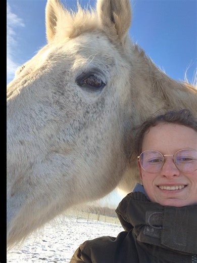 Understanding the Possessive Nature of Llamas