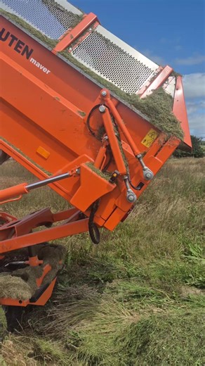 Martyn Lawns on TikTok