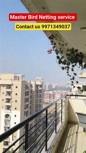 pigeon Safety Net installation in Manesar with Master Bird Netting contact Us 9971349037