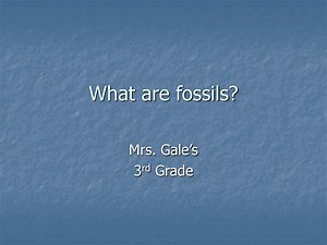 What are fossils? - SlideServe