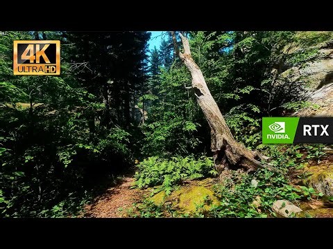 kcd ii [4K] ultra realistic graphics mod ,soft shadows and 4k textures [pc, gameplay]