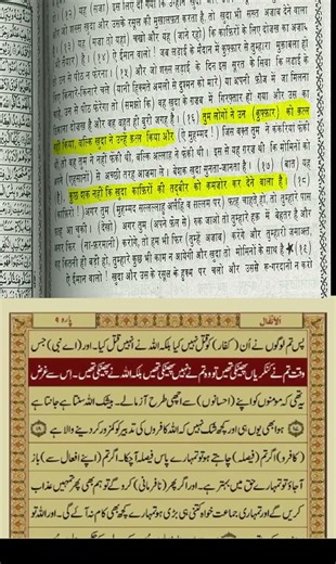 Allah & non-Muslims || Kafir || 8:17 || #Quran #quranrecitation #islam #hindu #muhammad