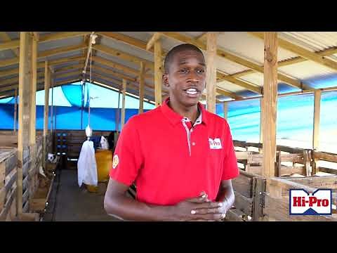 Goat Husbandry and Preventative Health Management