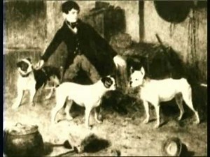 DOCUMENTAIRE - AMSTAFF : ETES VOUS LE MAITRE IDEAL ? ET CE QU'IL FAUT SAVOIR