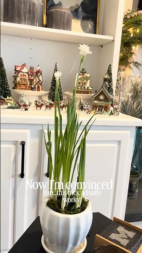 The trick that actually keeps Paperwhites upright!