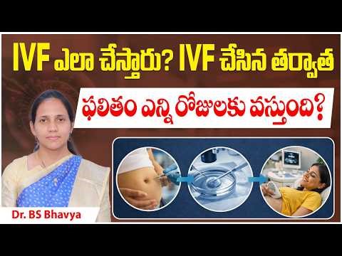 How IVF Procedure is Performed | IVF Treatment Step by Step in Telugu | Indira Surya IVF Centre
