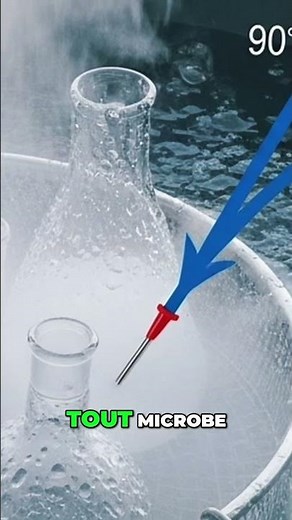 Incroyable! Comment les cornichons sont ils fabriqués en usine