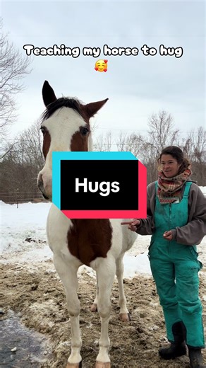 Teaching Horses to Hug: A Unique Learning Experience