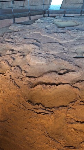 The highlight of a tour in the "March of the Titanosaurs" exhibition is, of course, the amazing 54m-long dinosaur tracksite 🦕👣. But we have to say that the view out the window comes a pretty close second 🙌 😍 🎥 Peter (Training Supervisor/Tour Guide). #MarchOfTheTitanosaurs #DinosaurFootprints #DinosaurTrackways #BeautifulScenery #ViewsToDieFor #OutbackScenery #AustralianAgeOfDinosaurs #ExperienceWinton #OutbackQueensland | Australian Age of Dinosaurs