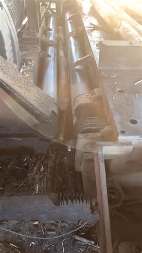 1.7K views | Using wood camcorder, wood camcorder video decompresses the mood | West Theodore | Facebook