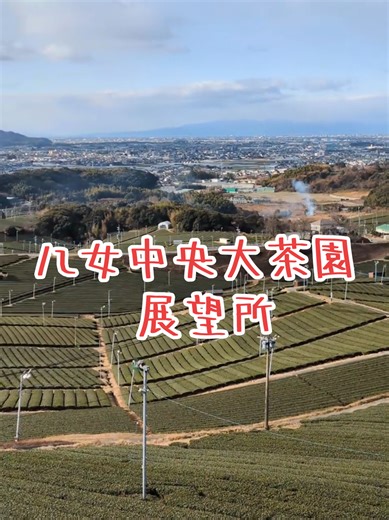 八女の茶畑が見える展望台を訪れました