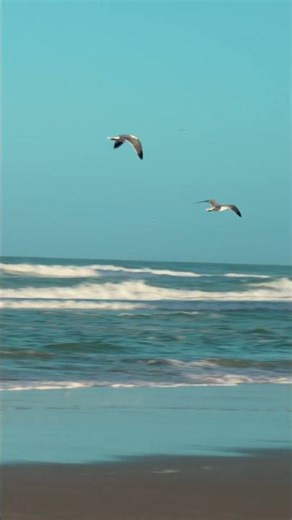 World's Most Famous Beach - Daytona Beach