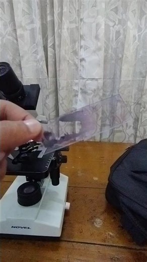 watch how red blood cell looks under microscope #medical #human #physiology