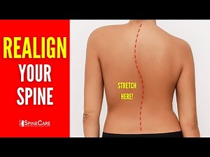 Best Exercises to Realign Your Spine