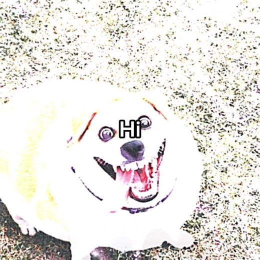 Hi