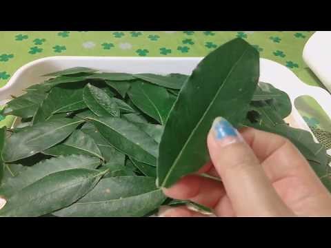 How To Dry Bay Leaves