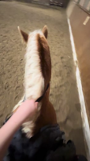 mila.prv80 (@mila.prv80)’s videos with Ramalama (Bang Bang) - Róisín Murphy