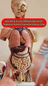 खाना खाने के बाद मल (पोटी/स्टूल) कैसे बनता है? | Digestive System Explained Step by Step #shorts