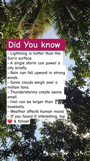 Extreme Weather Facts Explained