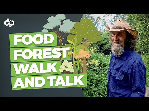 Food Forest Walk and Talk