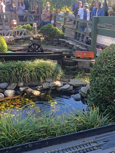 When a mini steam engine passes by the mini water pond. #❤️ #fyp #vibes #train #water
