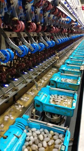 Silk Reeling Machine (ARM)