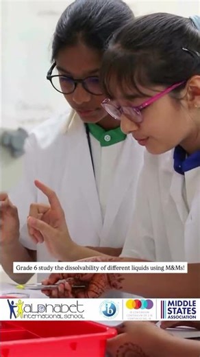 Grade 6 study the dissolvability of different liquids using M&Ms!