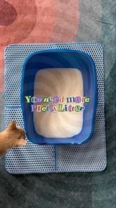 PrettyLitter is the fan-favorite litter that keeps homes fresh and cats healthy 🐱 See what all the buzz is about! | PrettyLitter