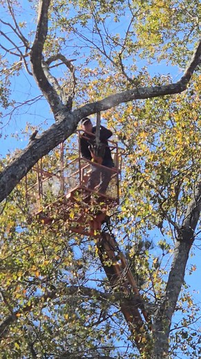 Richards Tree and Landscape Service Inc. on Reels | Facebook