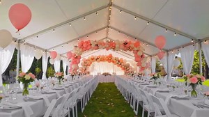 Aoxun 20x40 HDPE Party Tent,Heavy-Duty Canopy Weddings & Events | Removable Sidewalls,Roll-up Door,Waterproof for BBQ,Birthdays,Camping,Outdoor Weddings