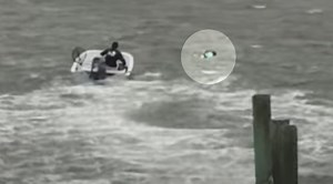 Storm Rolls In, But So Does A Hero: Jersey Shore Man Rescues Woman And Dogs From Capsized Kayak