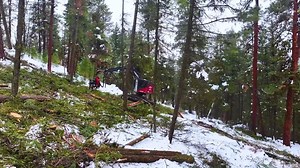 See TimberPro Inc machines in action! Built for the toughest jobs, these machines deliver unmatched performance and reliability. Learn more about our forestry equipment offerings here: https://bit.ly/4eUKDne | Komatsu North America