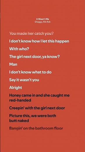 It Wasn’t Me - Shaggy, Rik Rok (Lyrics)
