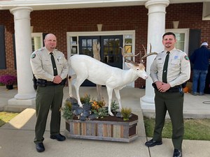 Hunters barred from killing albino deer in Tennessee