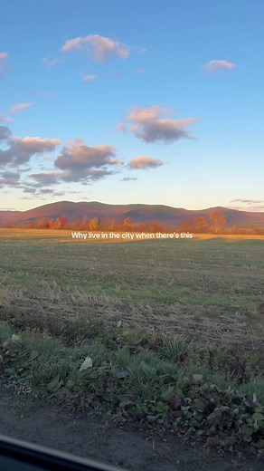 LAURA BISSON🎀 (@laura_bisson)’s videos with swatting at flies - ethan mcneal