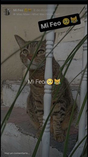 Follow me on my new Instagram