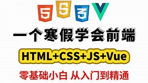 【2026最新】保姆级web前端全套教程，HTML CSS JS Vue，逼自己寒假学完，全程干货无废话！从0基础入门到精通，只要这套零基础前端教程就够了！