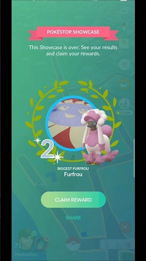 Furfrou in Matron Trim in showcase #pokemon #showcase #furfrou
