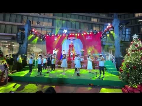 Flapping Around - Mixed band | JW Marriott Christmas Village