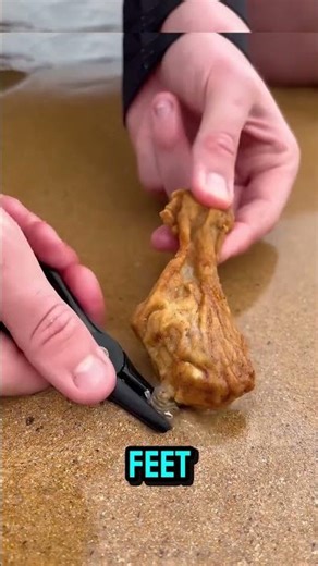 Catching a 2-METER Worm from the Sand! 🐛😱