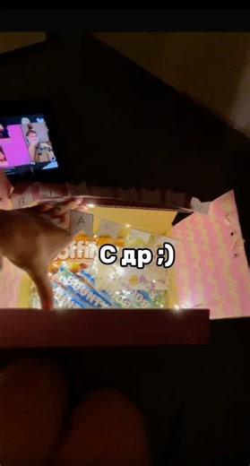 Люблю ее))) #пжактив #cat #пустьзалетит