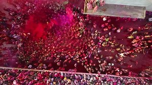 Color battle at the holi festival in India, 4k aerial shot