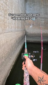 I absolutely love when they make their mind up in a few seconds !🐳What about you?😏Hope you like the video !! #snappybfishing #reelsviralシfb #slungercatoutdoors #catfishing #boatlifestyle #gizzardshad #bluecat #catchandrelease #fishingaddict | Bradlee Snapp