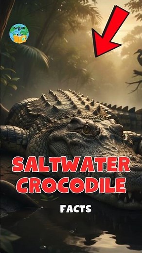 INTERESTING FACTS about Saltwater Crocodile #facts