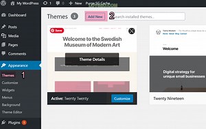 外贸独立站建站教程（1）：零基础用Astra主题做外贸独立站 2026 - LOYSEO
