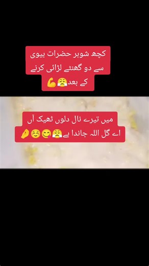 Understanding Marital Conflict Resolution